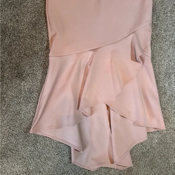Enfocus Studio Blush Asymmetrical Dress - Picture 3 of 4